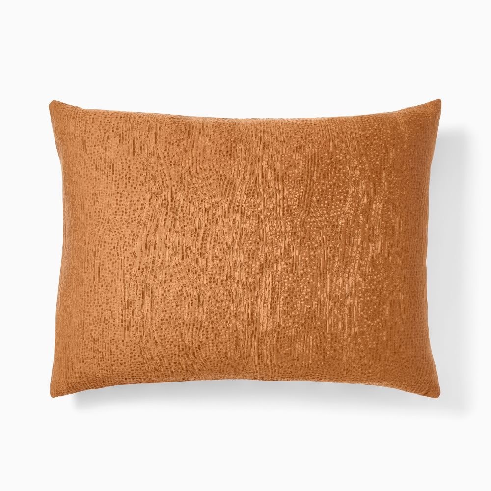NWT (2)- West Elm King Pillow Shams. 2 for the Price of One!